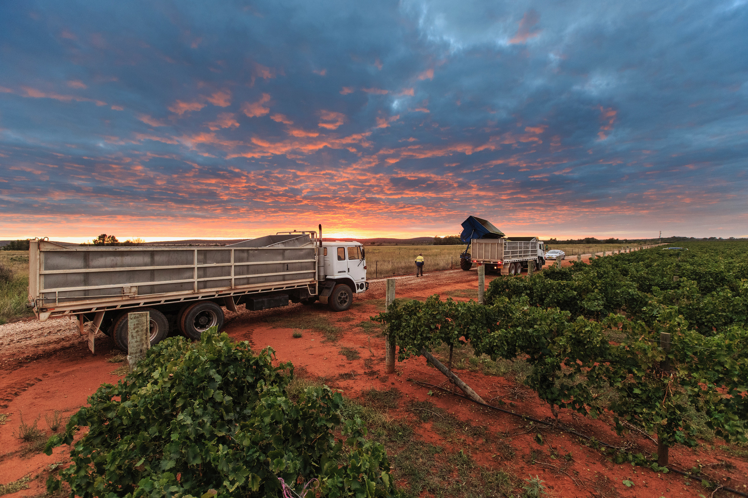 Harvest season cover image