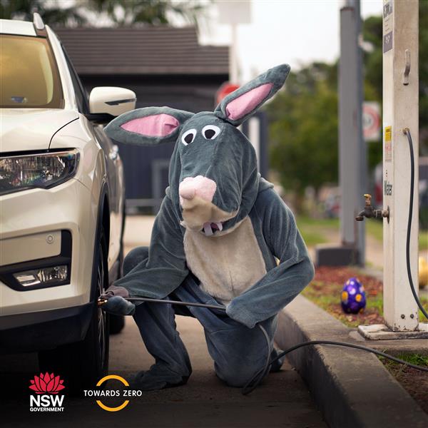 Easter bilby air in tyres