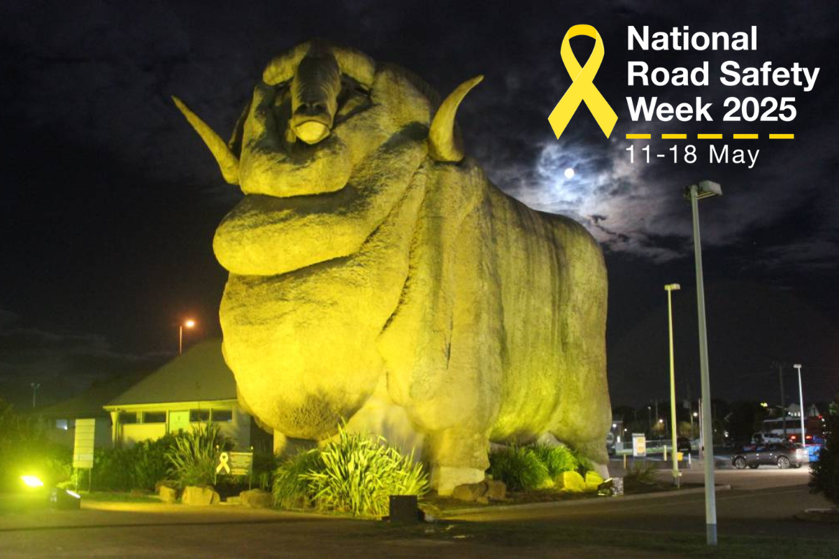 Big Marino in Goulburn - National Road Safety Week 2025 article thumbnail