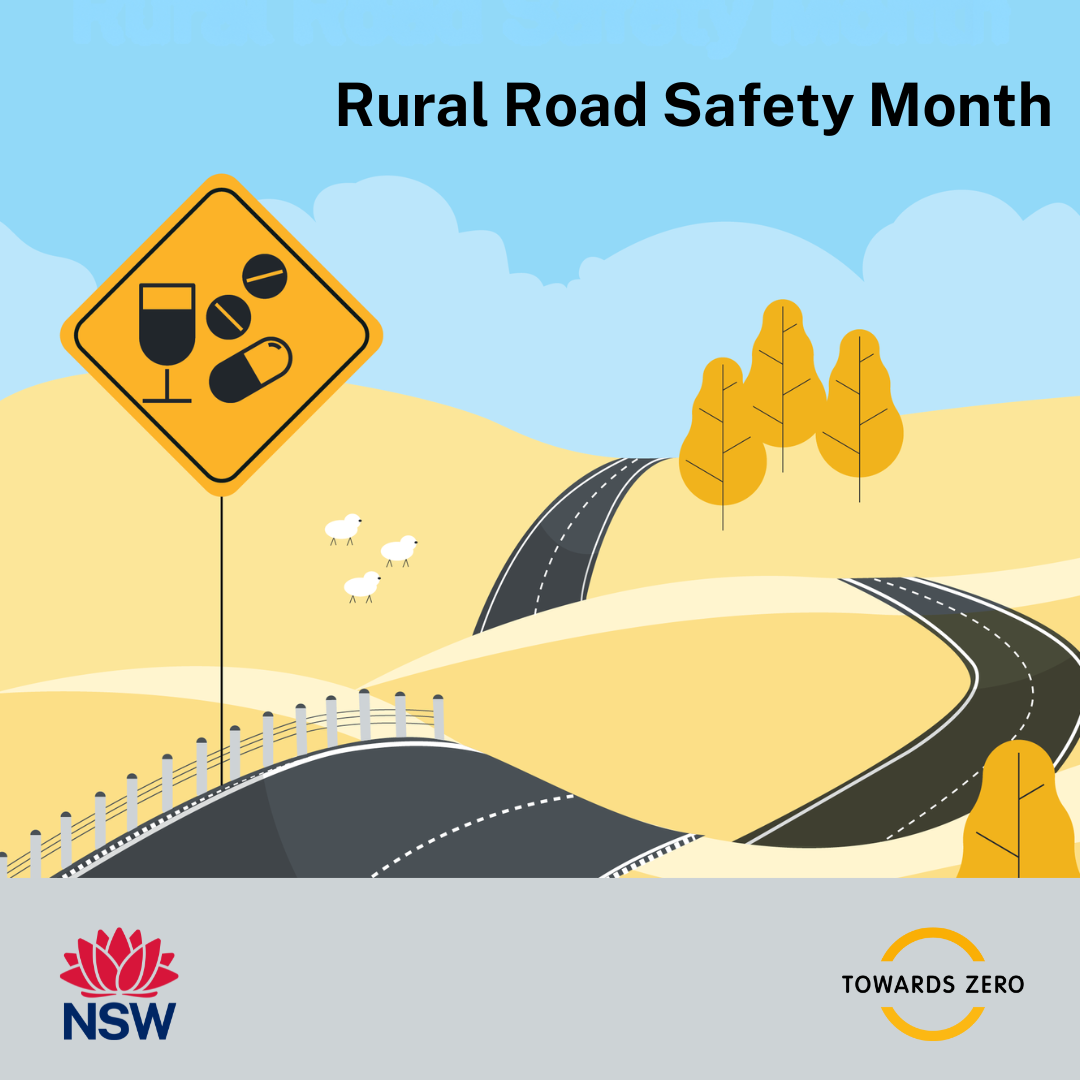 Alcohol and drug driving  - RRSM 2025