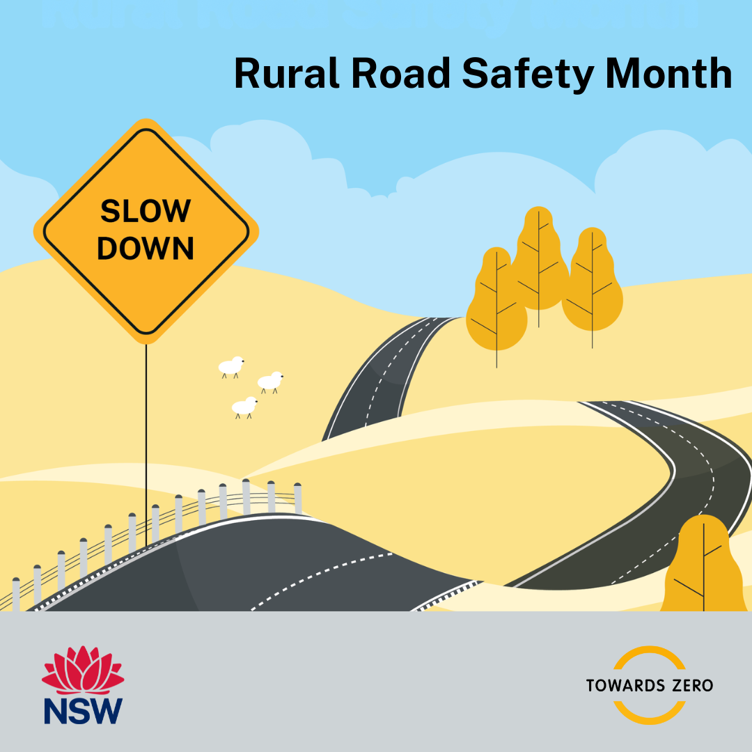 Slow down - RRSM 2025