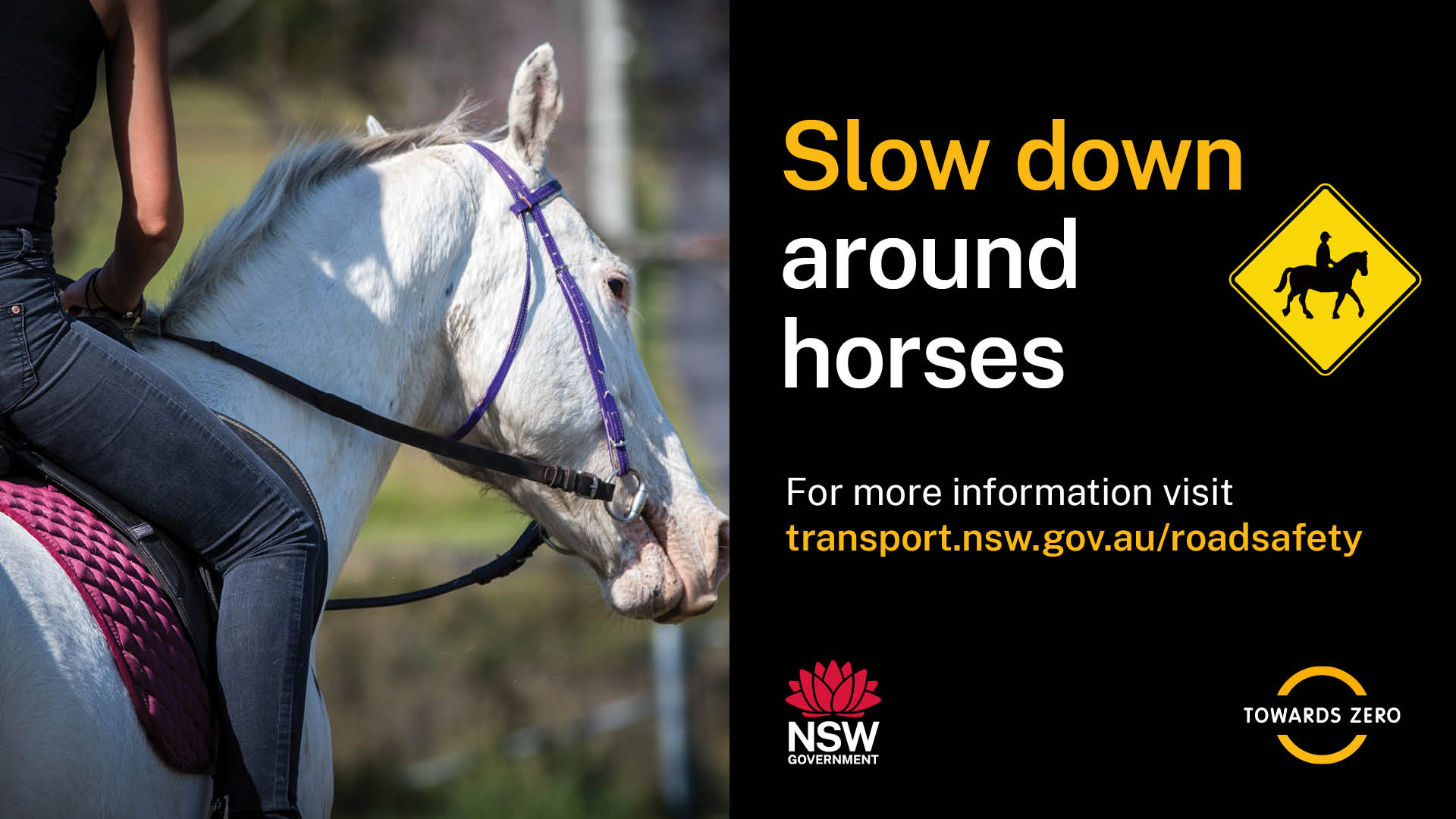 Slow down around horses - Horses in traffic communications toolkit thumbnail
